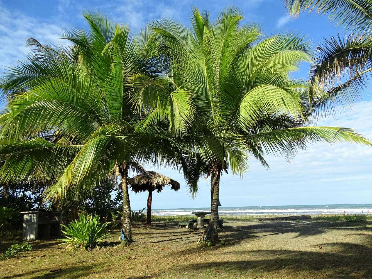 Hotel Caribbean Coconut Cahuita Exterior photo